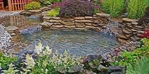 landscaping pond